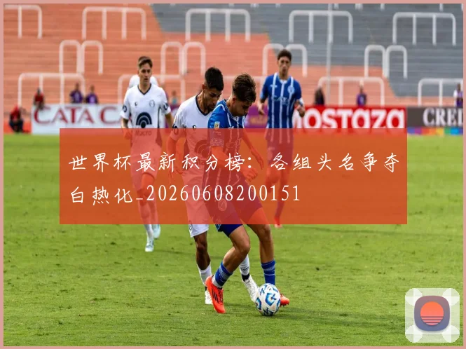 世界杯最新积分榜：各组头名争夺白热化_20260608200151