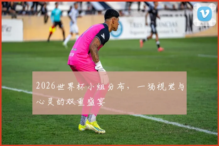 2026世界杯小组分布，一场视觉与心灵的双重盛宴