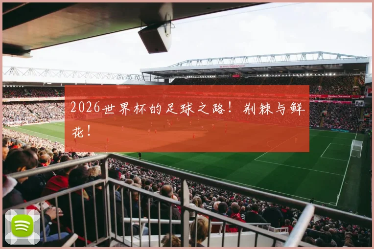 2026世界杯的足球之路！荆棘与鲜花！