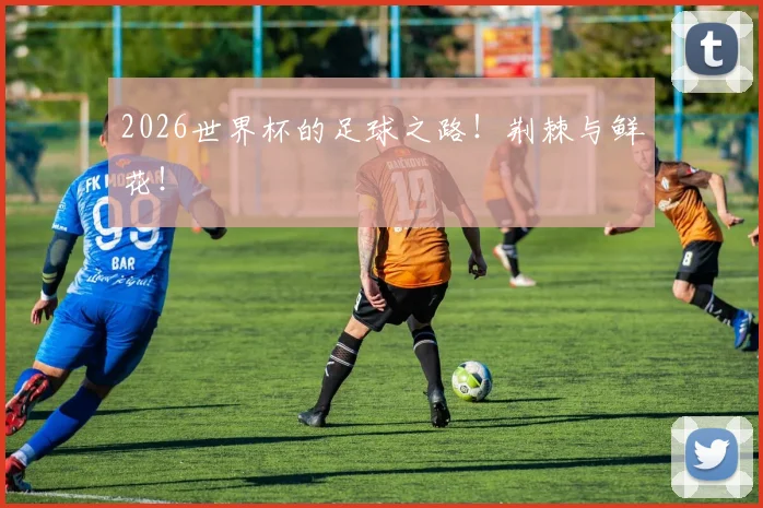 2026世界杯的足球之路！荆棘与鲜花！